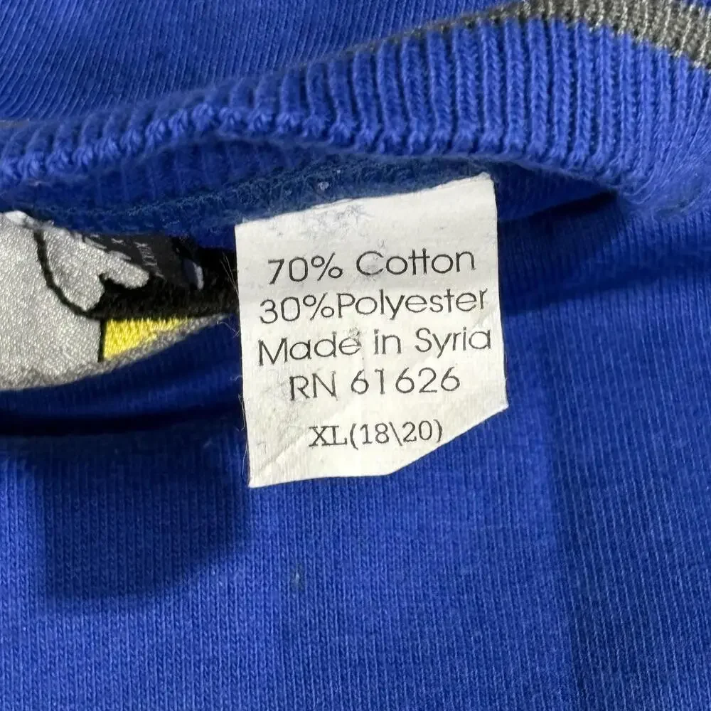 Looney Tunes Sweatshirt Boys XL 18-20 Blue Sylvester Tweety Fleece Pullover